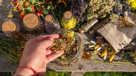 Natural Herbs For Pregnant Women